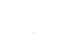 Auto Enthusiast Network